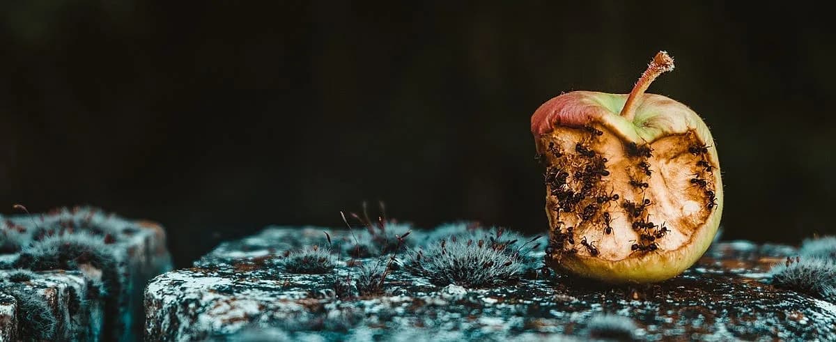 Nos sentimos víctimas de lo que hacen los otros